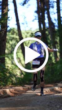 BIB:  <button type="button" onclick="openModal(26787898)" class="btn btn-primary btn-sm float-right" data-toggle="modal" data-target=".modal-high-quality">
                <i class="fa fa-download"></i> Download
                </button>